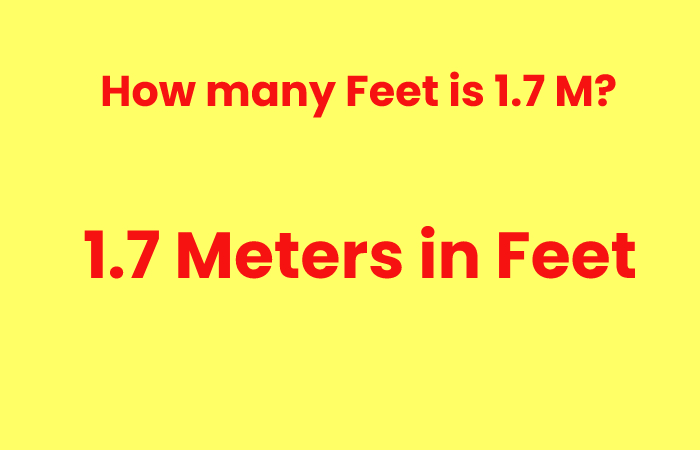 What Is 1 7 Meters In Feet Conversion Units Financial Gig what-is-1-7-meters-in-feet-conversion-units-financial-gig