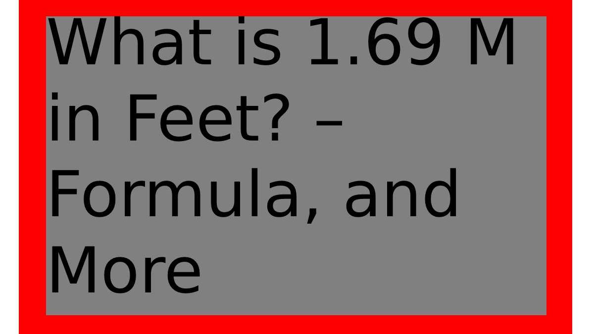 What is 1.69 Meters in Feet? – Formula – Financial Gig