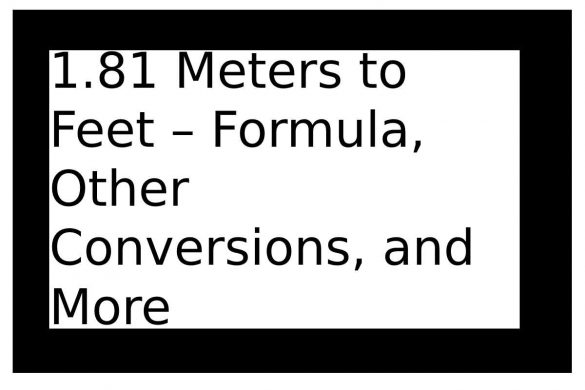 1.81 meters to feet