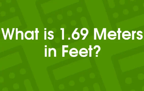What is 1.69 Meters in Feet? – Formula - Financial Gig