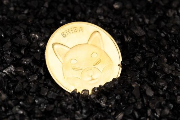 Will Shiba inu Coin Reach $1