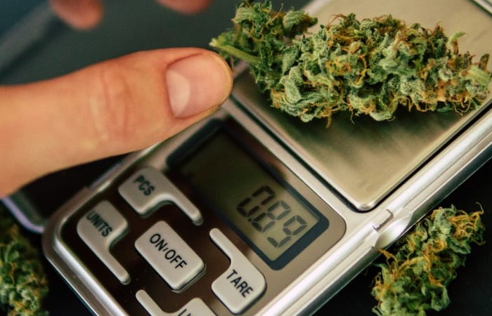 What Weight is an Ounce in Grams?
