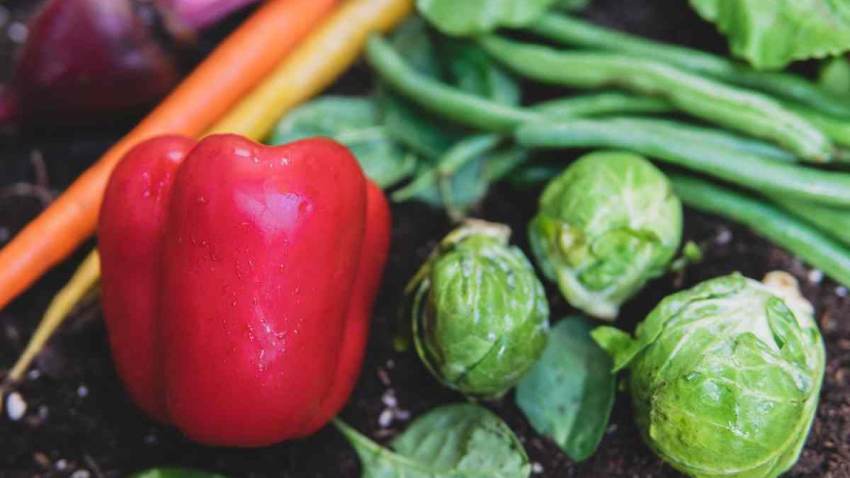 10 vegetables to grow in your garden