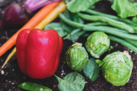 10 vegetables to grow in your garden