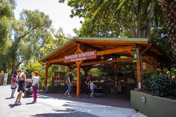 Capturing the Magic A Visual Journey Through Santa Barbara Zoo