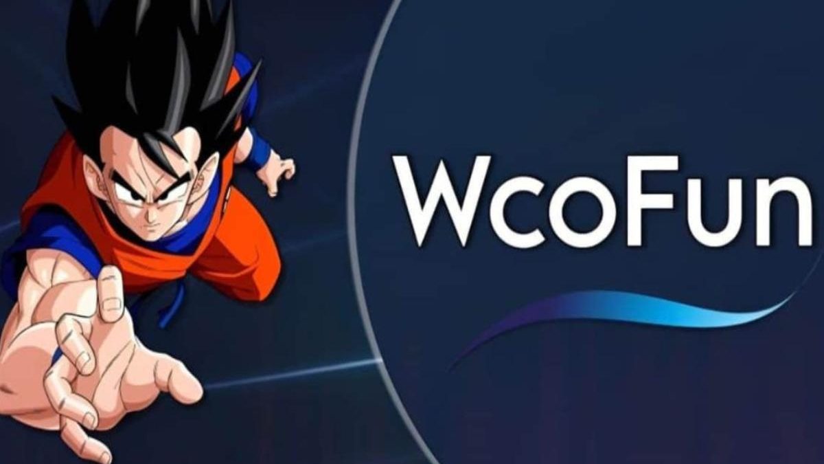 WCOFun Net – What Is WCOFun Net?